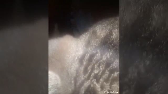Держатель стекла двери водительскрй Ваз 2105, клипса стекла