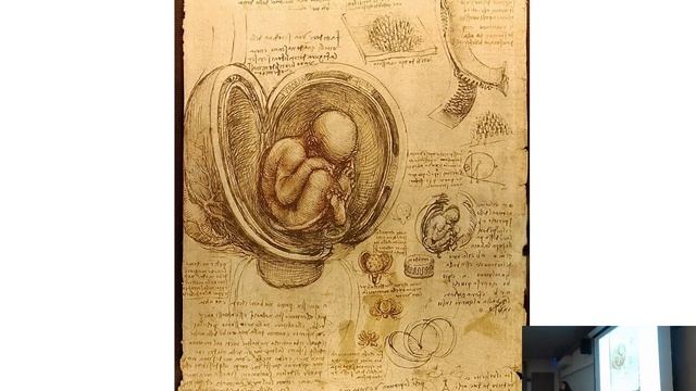 Intro to the Renaissance