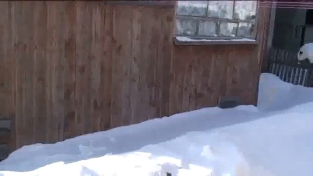 Дорогой Добрых Дел