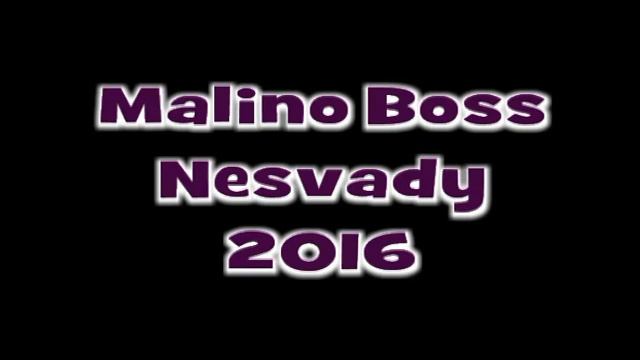 Malino Boss Nesvady 2016 -  CD 2 -  Skladba 4