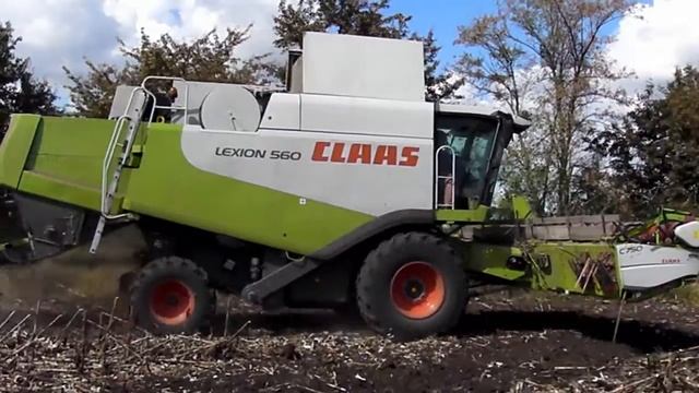 Claas Lexion 560 Уборка подсолнуха