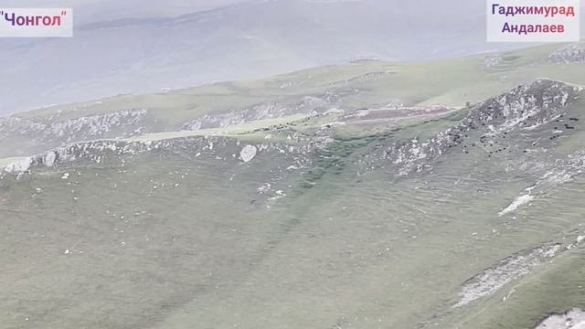 Отдых с Юнусом и Ko.18.08.2021