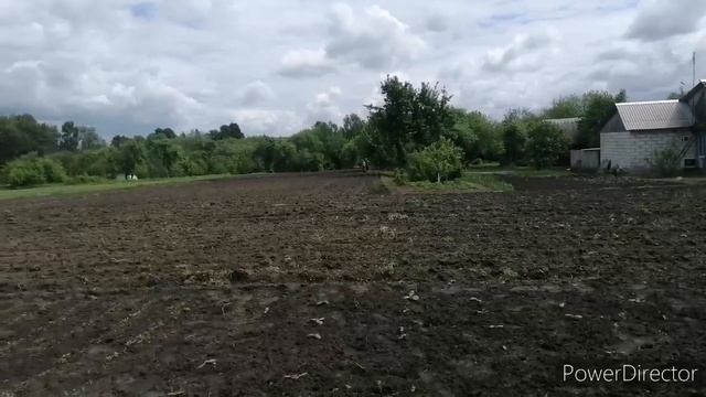 Странный мужчина около нашего дома //Арина осталась у нас на пмж 😁