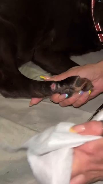 VID_20250406_093538_752