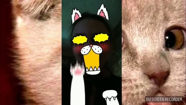 Моя подруга