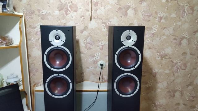 Dali Spektor 6