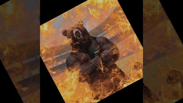🐻Медведи МКЛ#медиа #футбол #Камчатка #факты #дворовойфутбол #мкл #14км