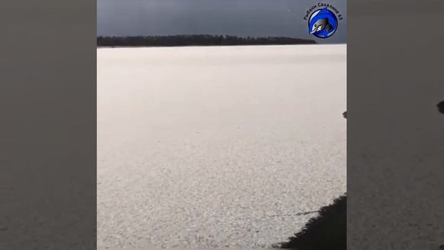 Сахалинские рыбаки на "ледоколе" отправились за корюшкой на Буссе