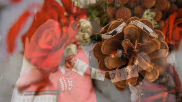 свадьба Ани и паши