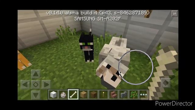 How to tame an Ocelot in MINECRAFT