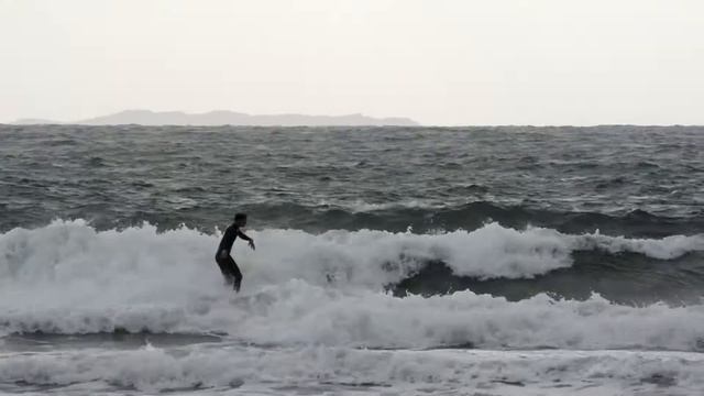 Michael Guinane - Rodeo Clowns Cover (Surfing Short)