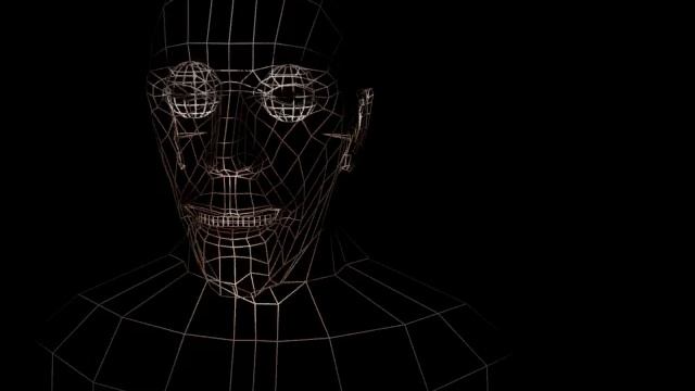 Animated head wireframe