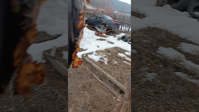 Рыба готова.