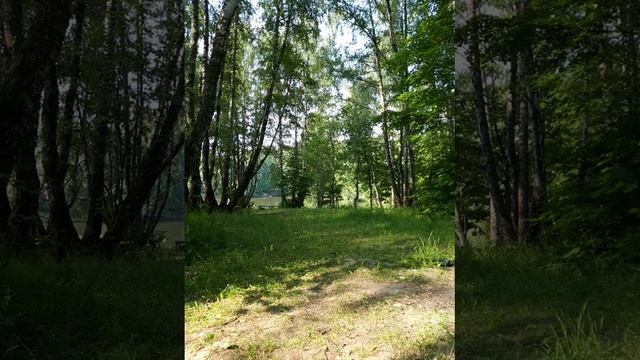 (Во всём мне хочется дойти...)  БОРИС ПАСТЕРНАК.