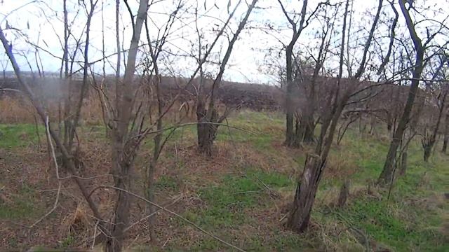 Охота НА ЗАЙЦА! Погулял и ПОСТРЕЛЯЛ Сезон охоты 2021-2022 с ТОЗ 34