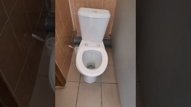 Школьный туалет под песню кити кити еах. В конце зайцеголовый ублюдок еах