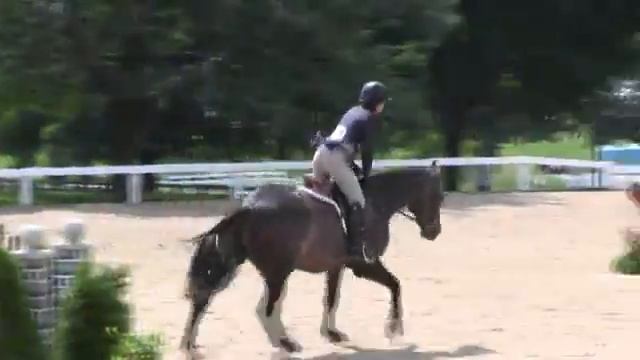 Video of HIPPOGRIFF ridden by MAGGIE DI VECCHIA from ShowNet!