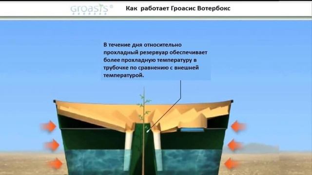 🌳💧ТЕХНОЛОГИЯ 💧GROASIS💧КАК ВЫРАСТИТЬ ЛЕС БЕЗ ВОДЫ💧🌳🌳🌳