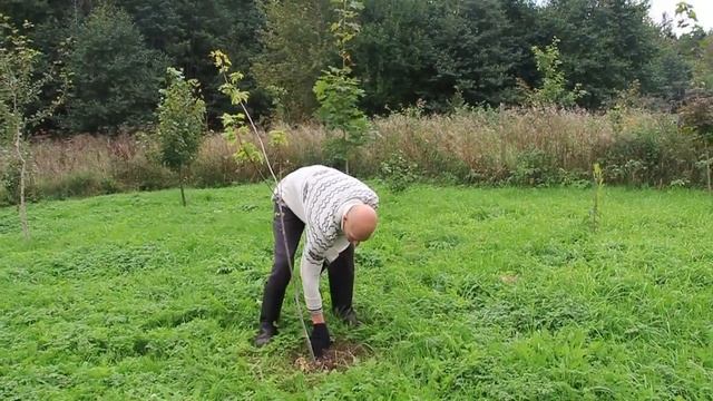 СОЗДАЛИ ПАРК на участке В ГЛУХОЙ БЕЛОРУССКОЙ ДЕРЕВНЕ