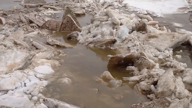 Таяние реки Обь. Нижневартовск. 10 мая 2024