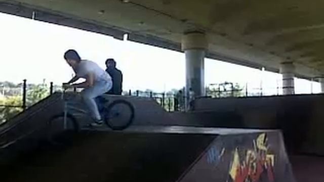12062010005.mp4