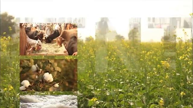 Destination Unlimited - Part One - Documentary