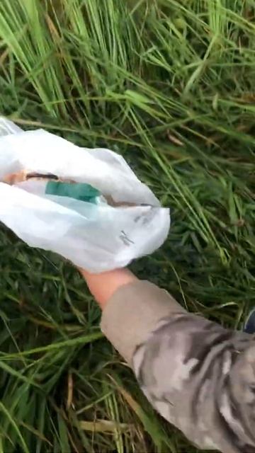 Что делать с рыбой, которую ты поймал