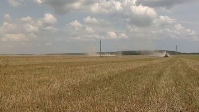 мираторг климово 17 07 13