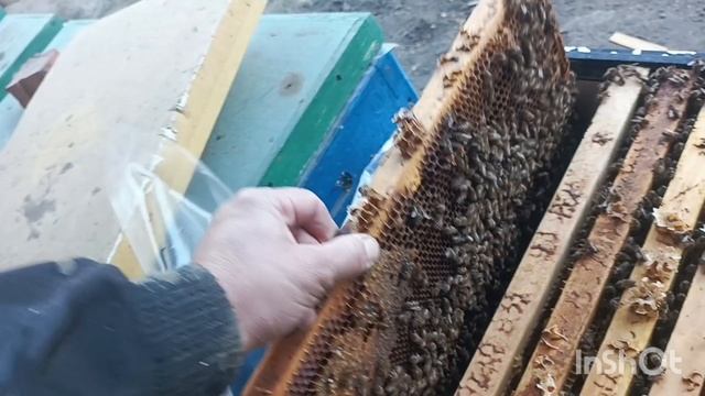Добавляю мёд , подсиливаю.