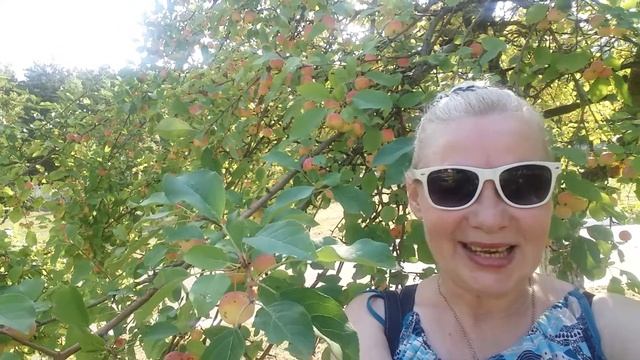 Яблочный Спас – Яблочный Рай. 19.08.2018 г.