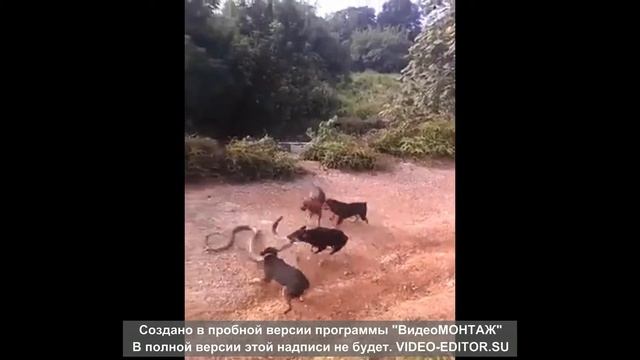 просто КЛАСС СОВЕТУЮ ПОСМОТРЕТЬ