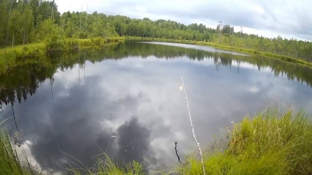 Разведка нового озера в лесу 25.07.22