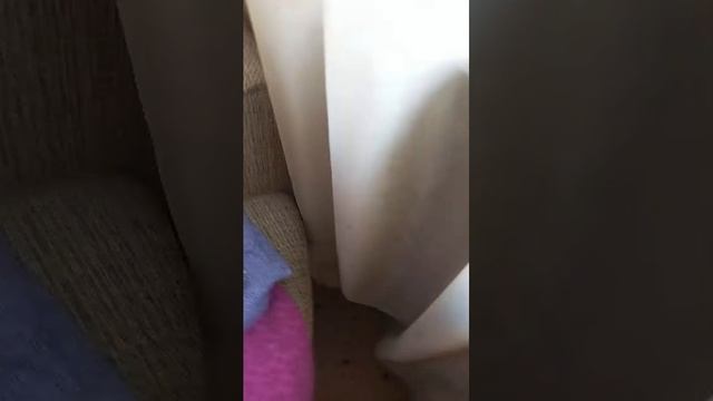 я в гостях