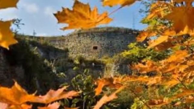 Осень, краски осени