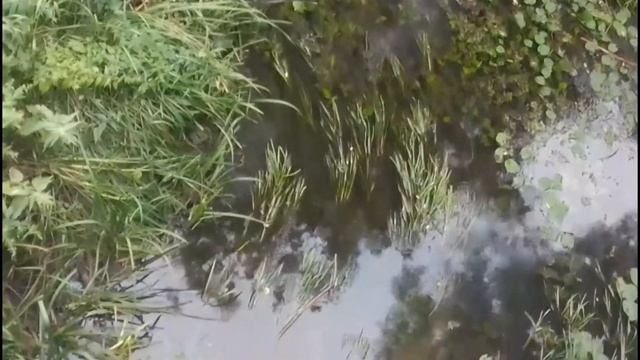 Слияние Лопани и Уды.