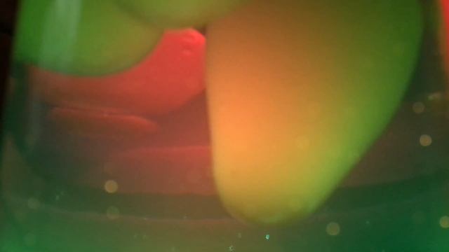 The Malleable Tet - The Basement Tapes - XLII. The Totem Poles - 3. Jam In 7 [Lava Lamp]