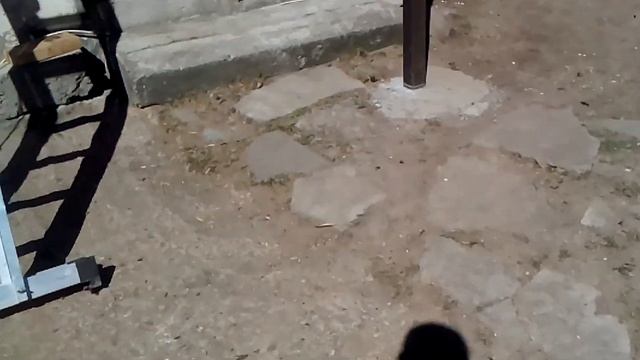 Запускаю рыбу в пруд или жду приплода.