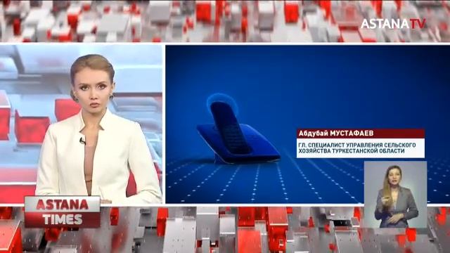 Туркестанцы сдали хлопок, но так и не дождались денег от акимата