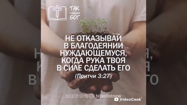 VideoCook_20250420_171258298.mp4