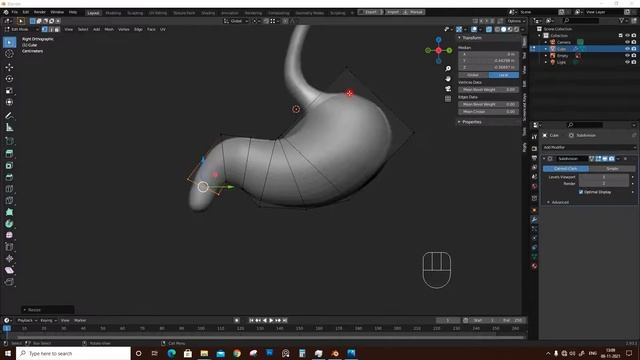 Stomach 3d model for 3d print  tutorial in blender tamil