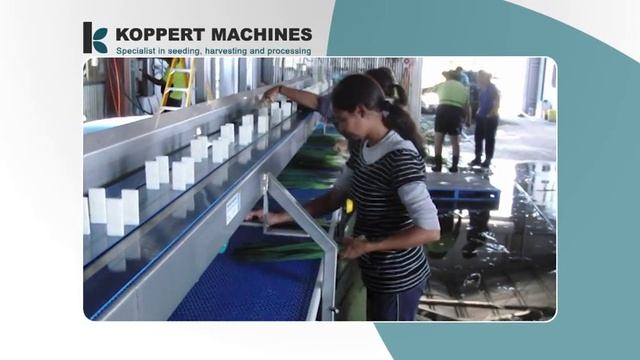 20140327 koppertmachines processing line for spring onion