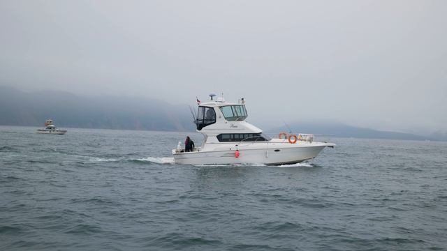 4к Камчатка Морская прогулка (пасмурно) Дождливая погода. 03.07.2024.