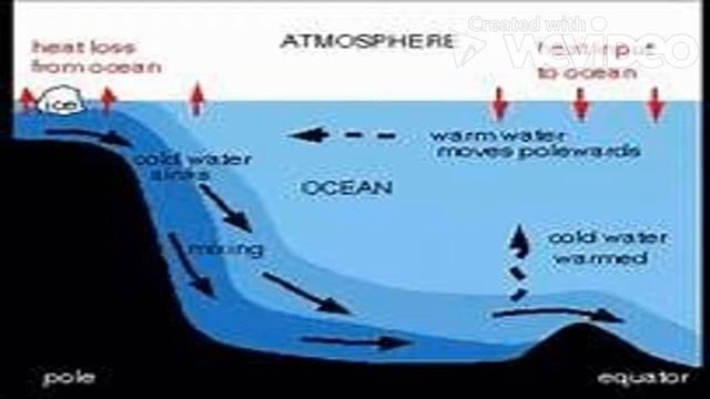 Oceanic Biosphere