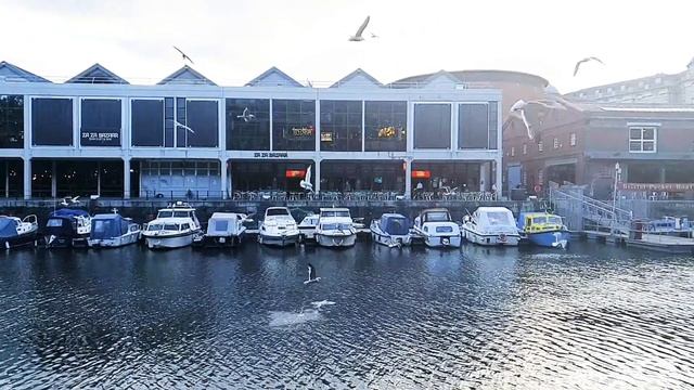 Bristol Seagull