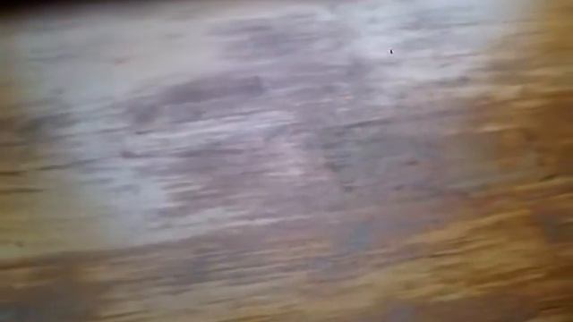Наши подарки из Японии от брата!:)