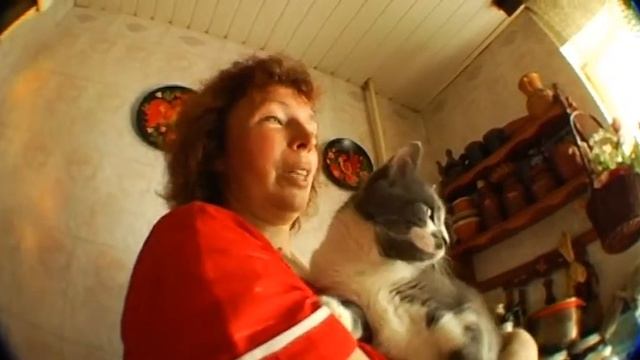 Коты.mp4