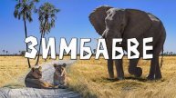 Слоновье царство Зимбабве... и каша из баобаба