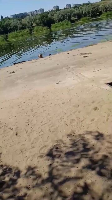 рыбалка в Камышине