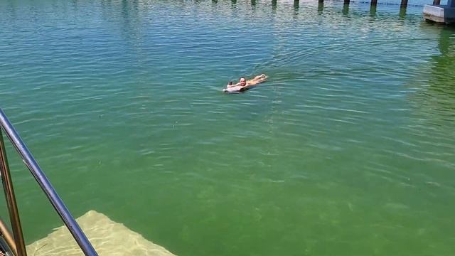 Grand Sirenis Cayo Santa Maria dolphin swimming Lily