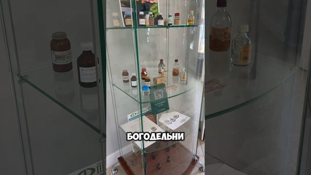 Аптекарский двор_Алина Самигулова, Елизавета Зуева